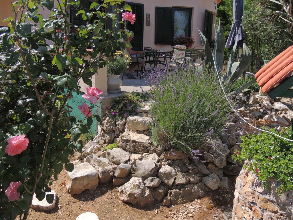 Apartmani Antonela&Andrej Privlaka (Zadar) Exterior foto